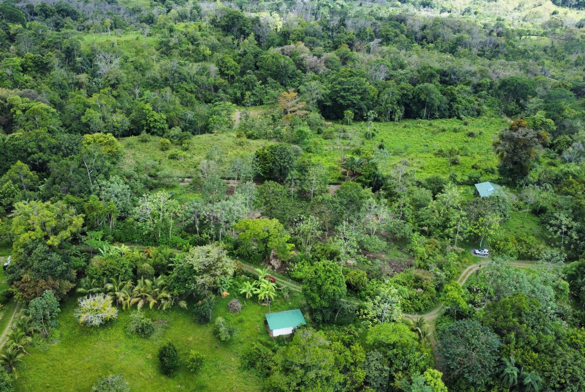 ABSOLUTELY FLAT JUNGLE LOT WITH MOUNTAIN VIEWS – DIAMANTE VALLEY – 2.48 ACRES