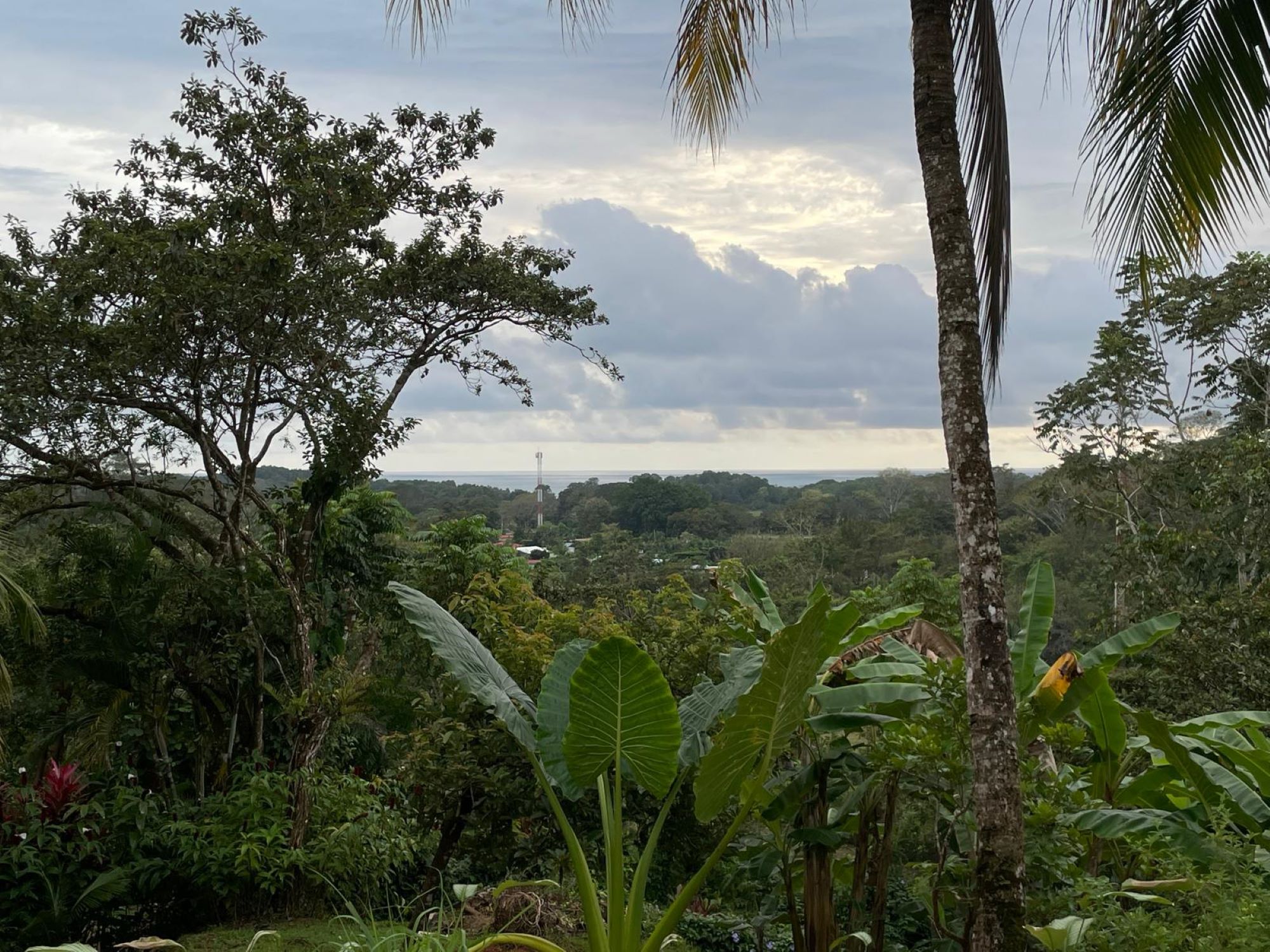 0d1d629d-d5d2-4978-b1c9-db2a28d636de