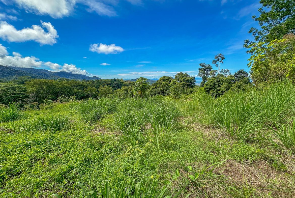 JUNGLE PROPERTY IN OJOCHAL – 4.1 ACRES