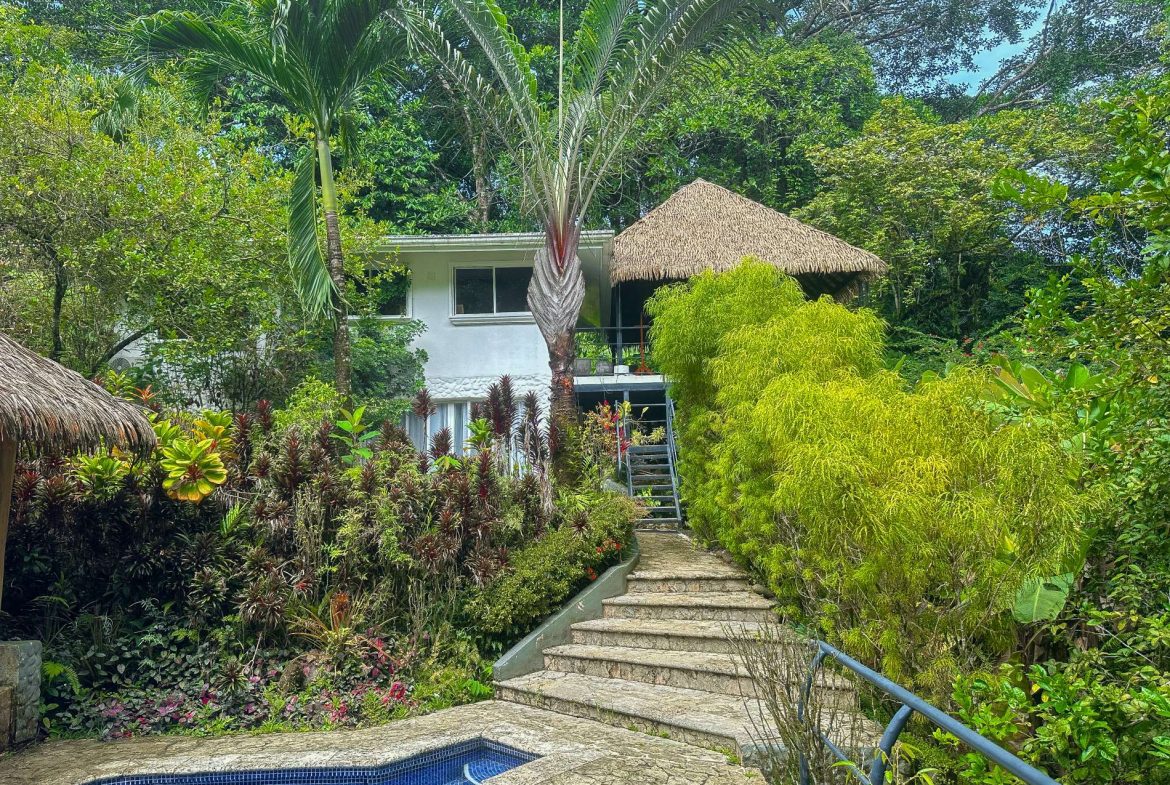 PROPERTY WITH GUEST HOUSE, IN OJOCHAL – 1.96 ACRES, Uvita, Costa Rica — photo 5