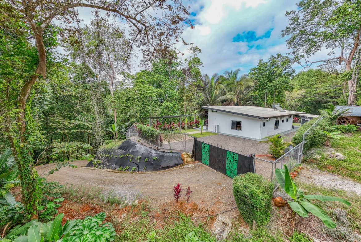 JUNGLE PROPERTY IN VENTANAS OJOCHAL –  2.19 ACRES