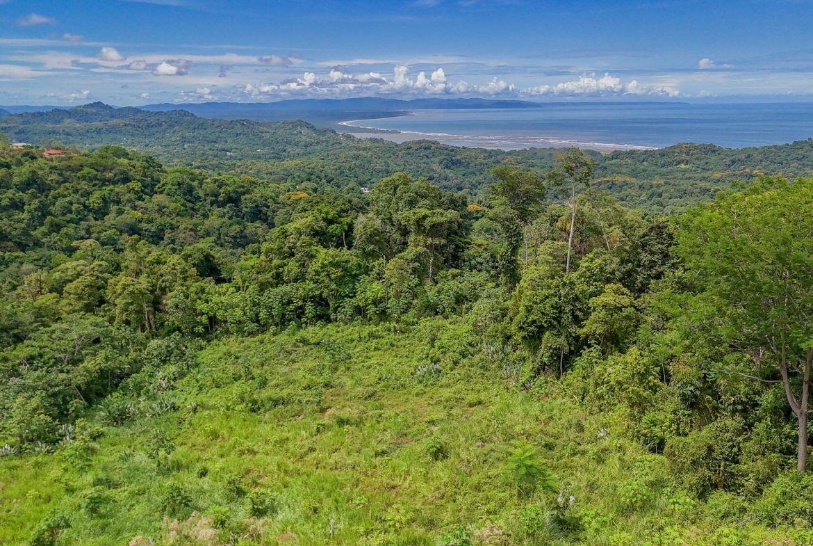 JUNGLE PROPERTY IN OJOCHAL – 4.1 ACRES