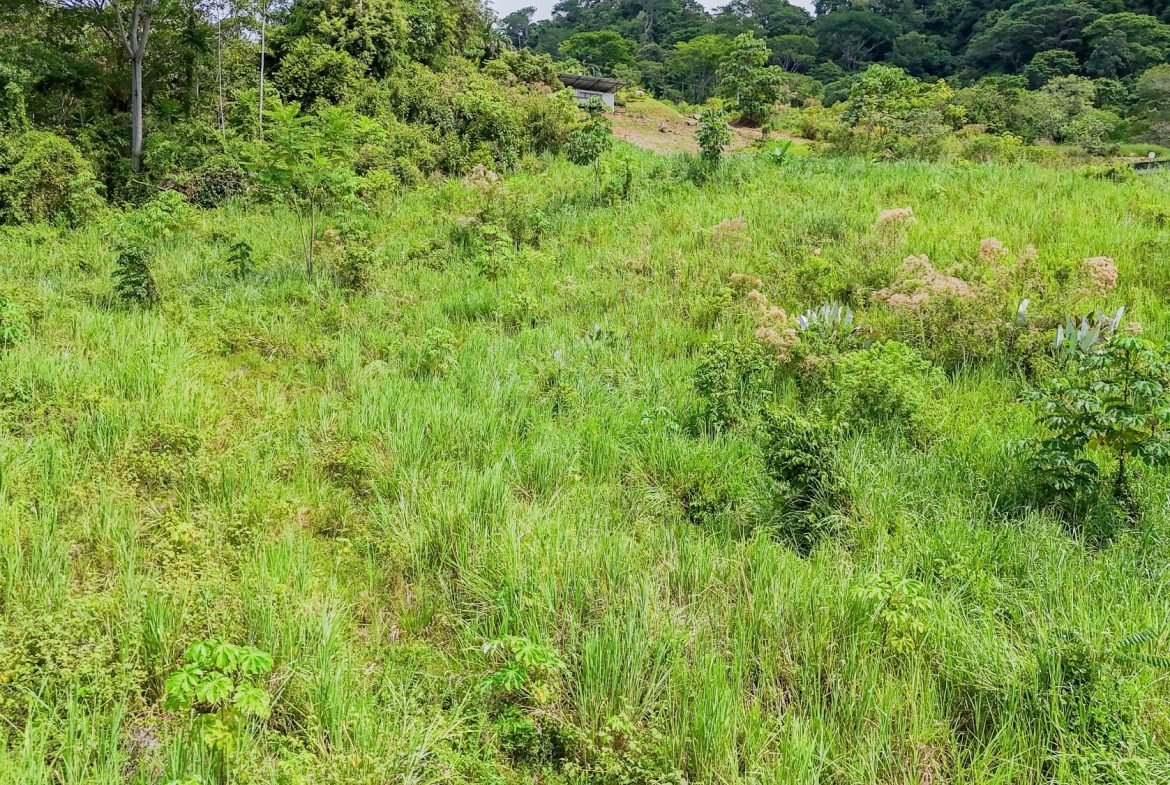 JUNGLE PROPERTY IN OJOCHAL – 4.1 ACRES