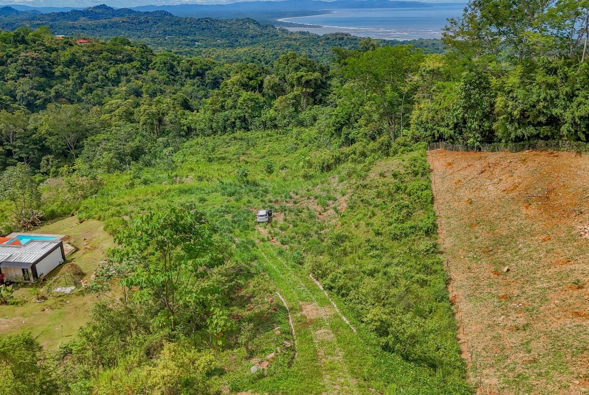 JUNGLE PROPERTY IN OJOCHAL – 4.1 ACRES