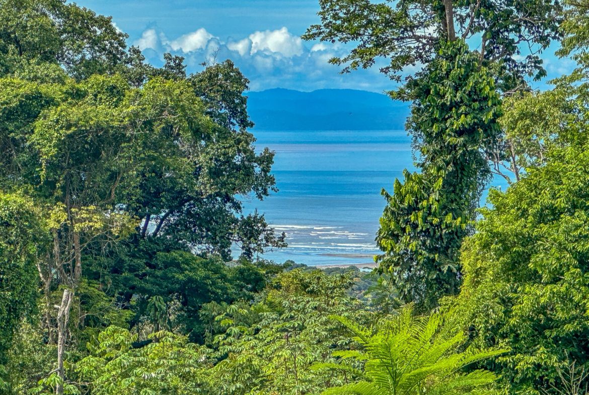 JUNGLE PROPERTY IN OJOCHAL – 4.1 ACRES