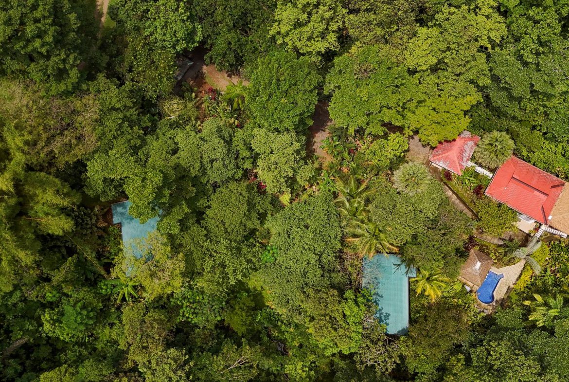 PROPERTY WITH GUEST HOUSE, IN OJOCHAL – 1.96 ACRES, Uvita, Costa Rica — photo 2