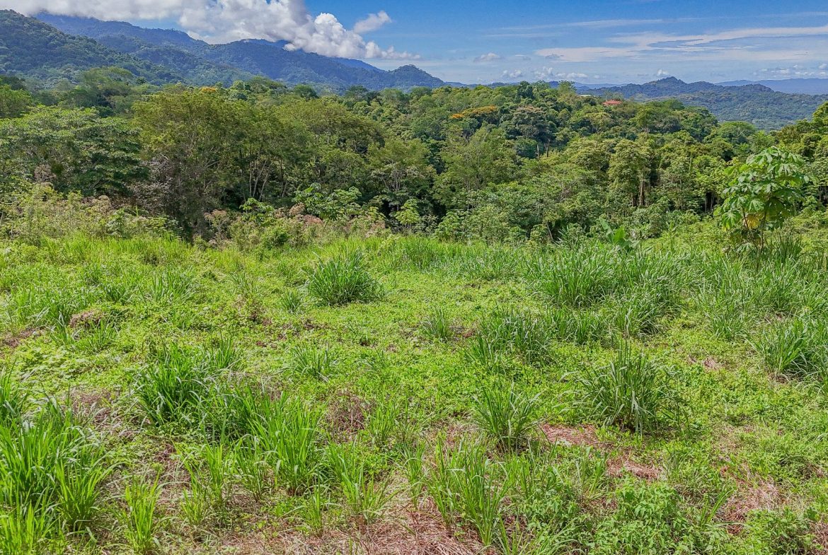 JUNGLE PROPERTY IN OJOCHAL – 4.1 ACRES