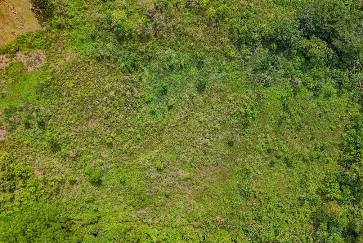 JUNGLE PROPERTY IN OJOCHAL – 4.1 ACRES