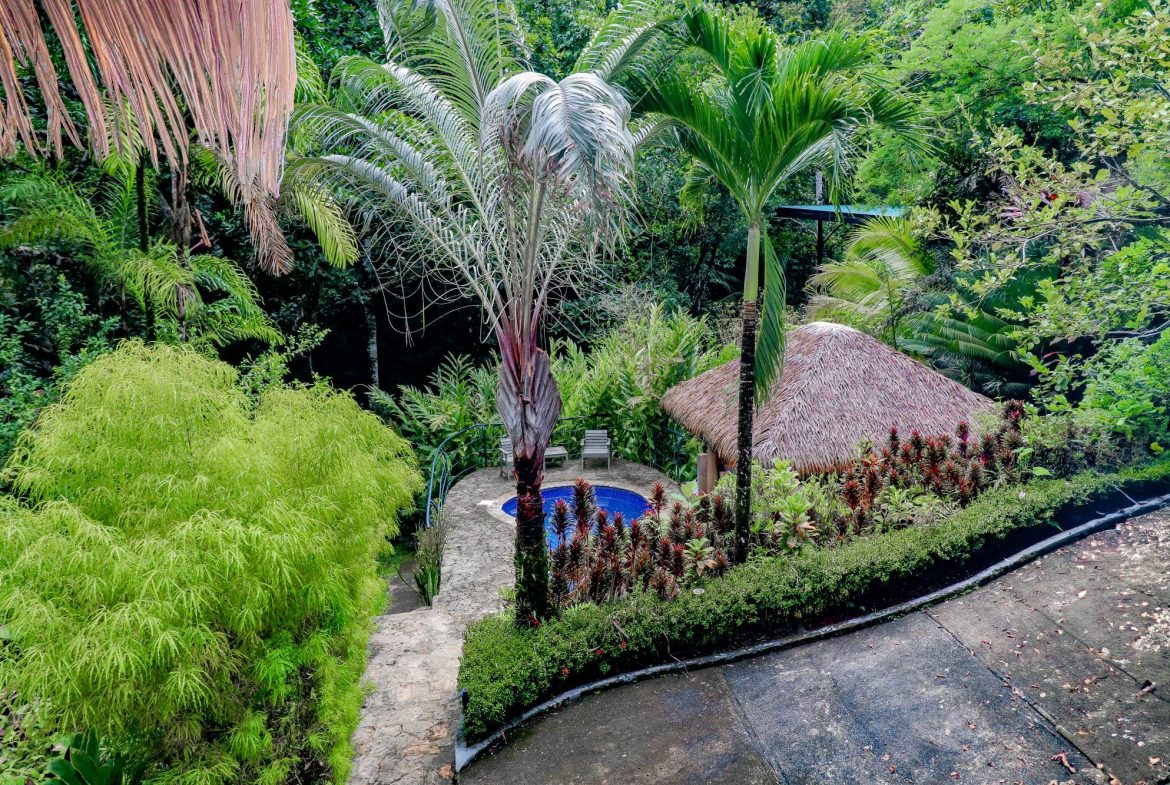 PROPERTY WITH GUEST HOUSE, IN OJOCHAL – 1.96 ACRES