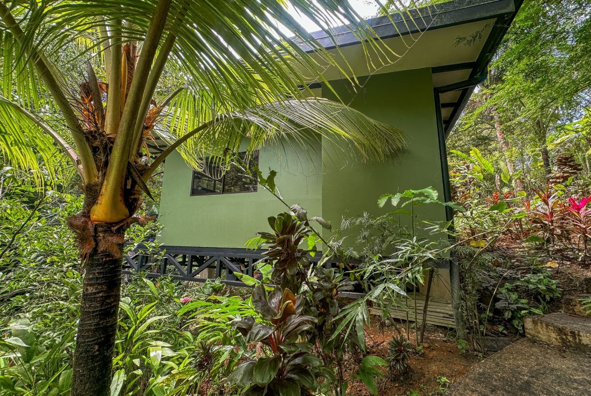 PROPERTY WITH GUEST HOUSE, IN OJOCHAL – 1.96 ACRES