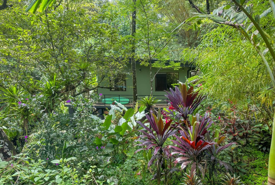 PROPERTY WITH GUEST HOUSE, IN OJOCHAL – 1.96 ACRES