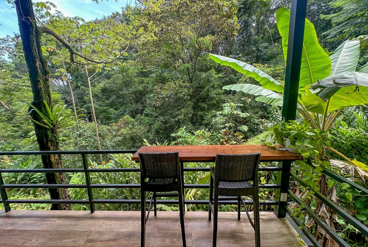 PROPERTY WITH GUEST HOUSE, IN OJOCHAL – 1.96 ACRES