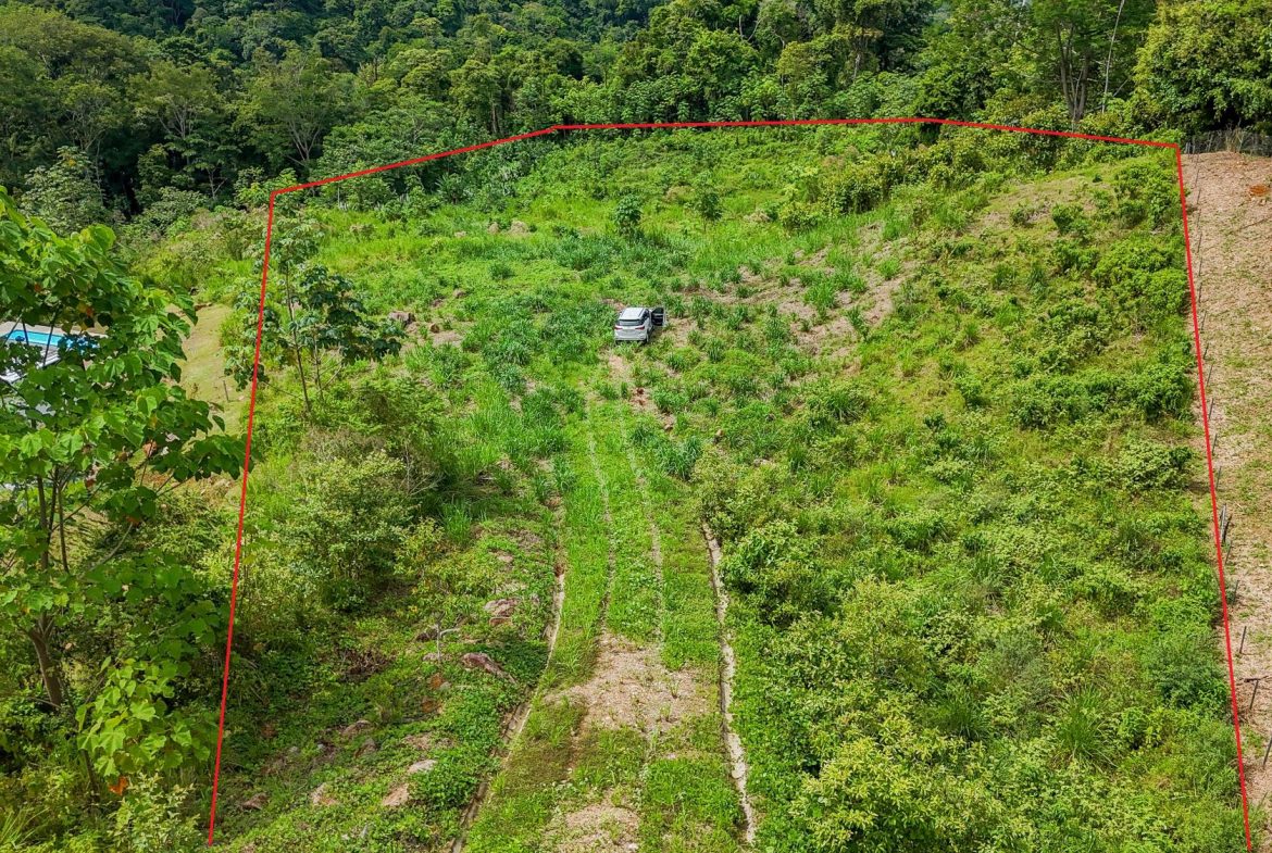 JUNGLE PROPERTY IN OJOCHAL – 4.1 ACRES