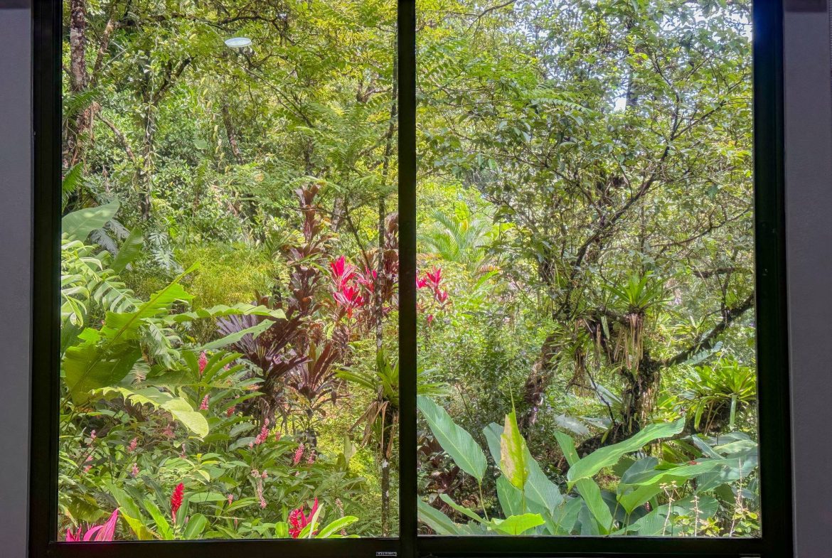 PROPERTY WITH GUEST HOUSE, IN OJOCHAL – 1.96 ACRES