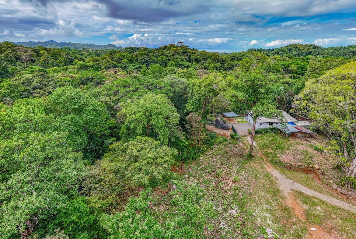 JUNGLE PROPERTY IN VENTANAS OJOCHAL – 1.9 ACRES, Uvita, Costa Rica — photo 7