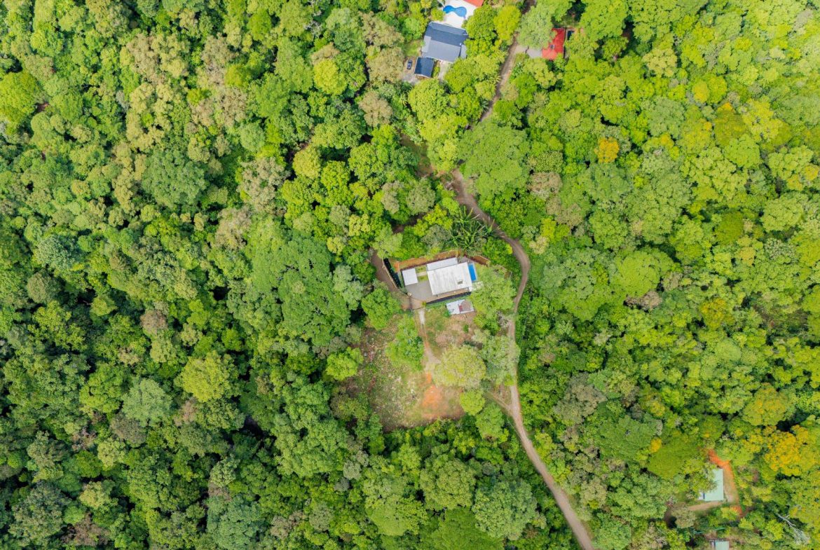 JUNGLE PROPERTY IN VENTANAS OJOCHAL –  2.19 ACRES