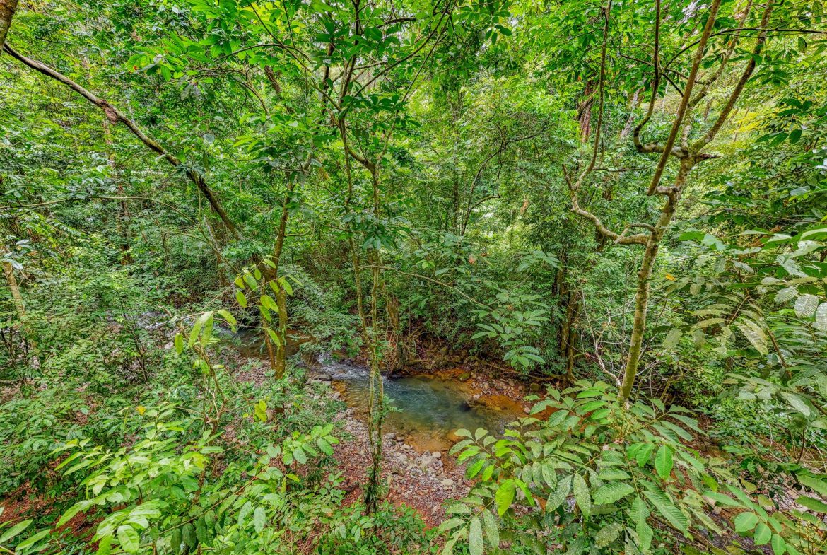 JUNGLE PROPERTY IN VENTANAS OJOCHAL –  2.19 ACRES