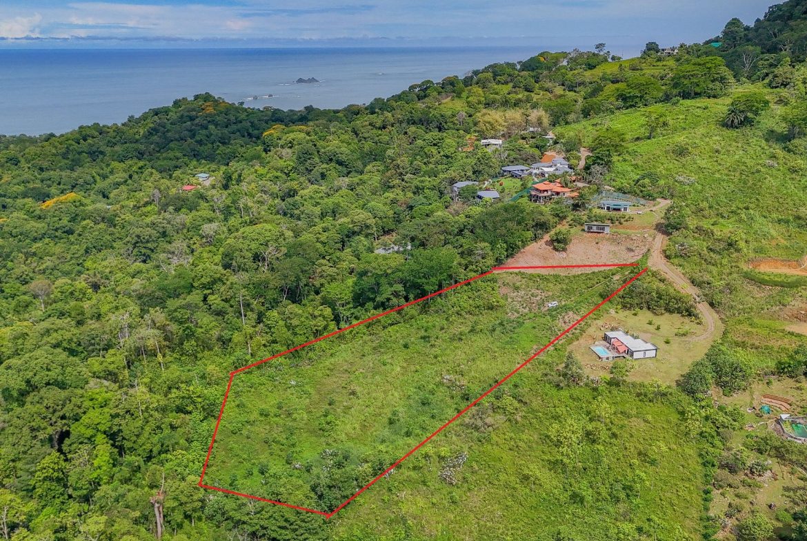 JUNGLE PROPERTY IN OJOCHAL – 4.1 ACRES