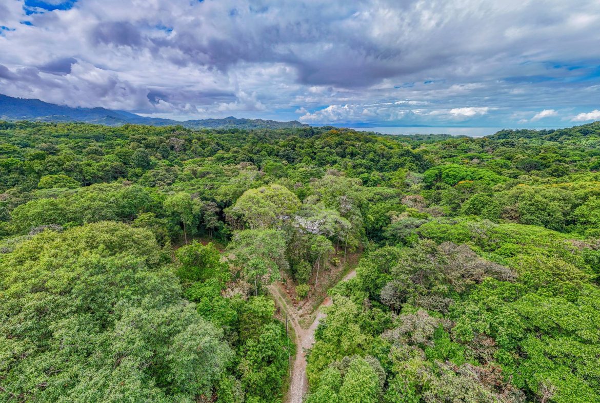 JUNGLE PROPERTY IN VENTANAS OJOCHAL – 1.9 ACRES, Uvita, Costa Rica — photo 8