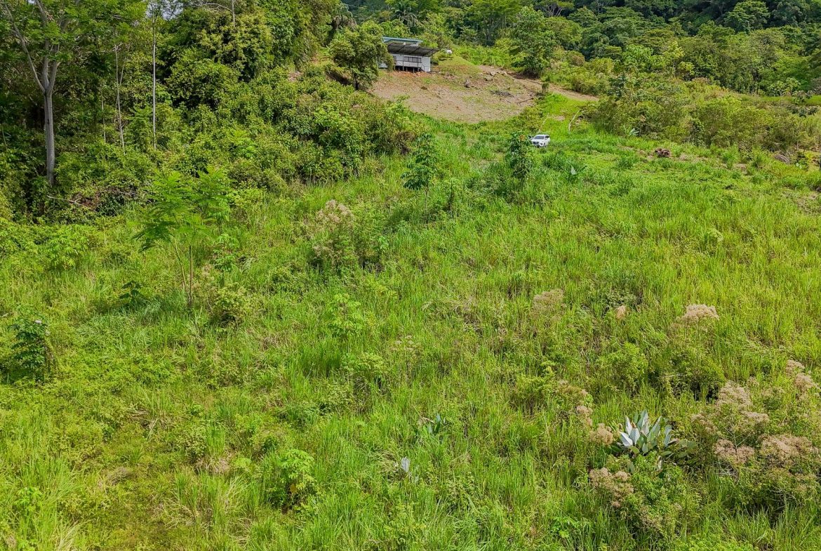 JUNGLE PROPERTY IN OJOCHAL – 4.1 ACRES