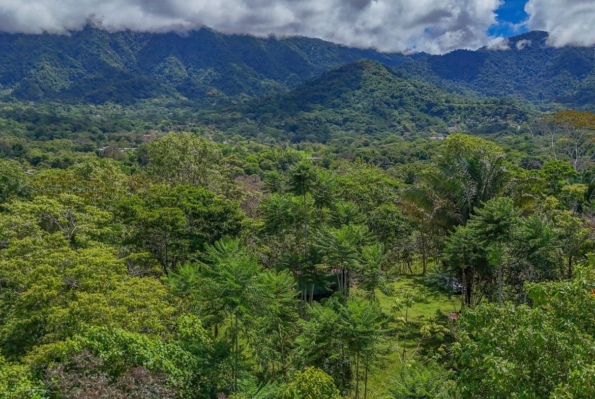 PROPERTY WITH MOUNTAIN VIEW, IN OJOCHAL – 3.92 ACRES