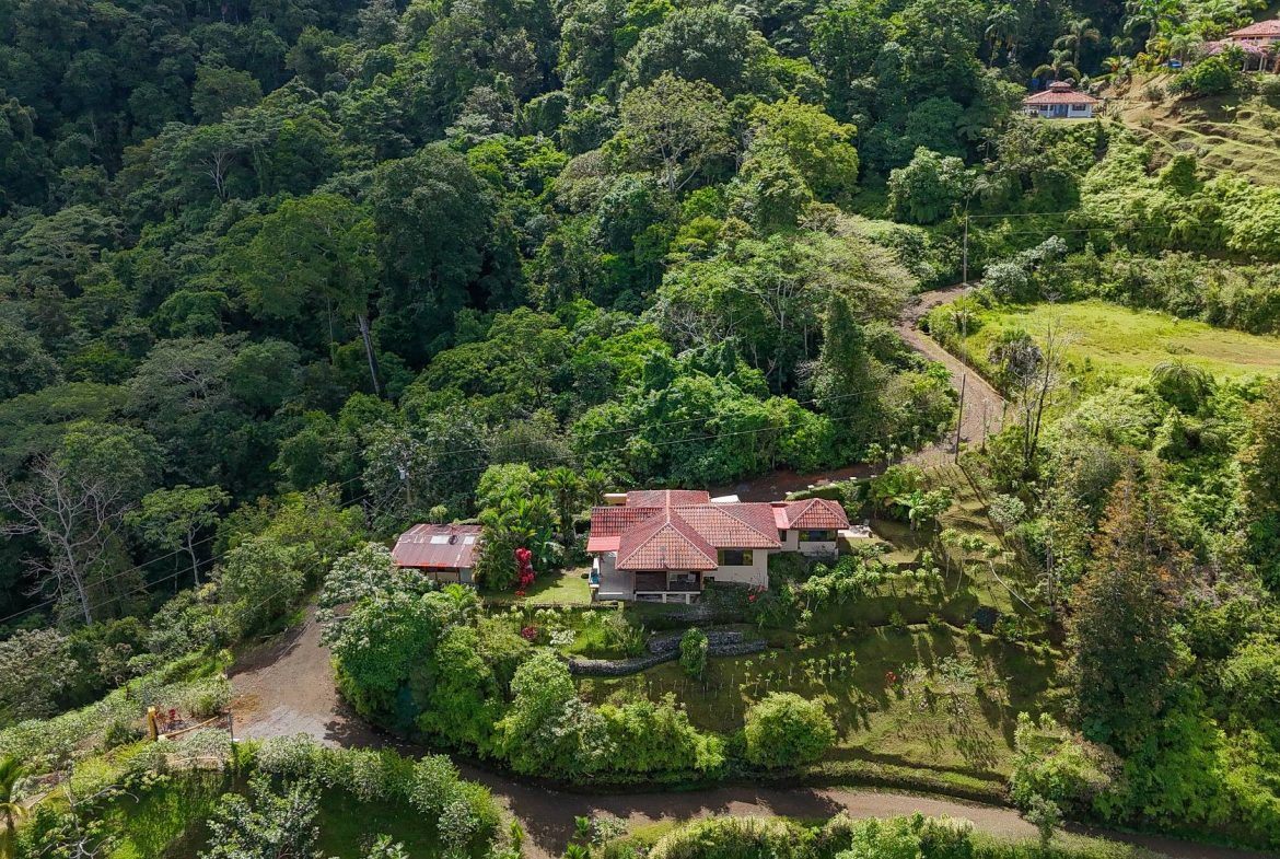 JUNGLE PROPERTY IN PUNTA MALA – 4.08 ACRES, Uvita, Costa Rica — photo 8