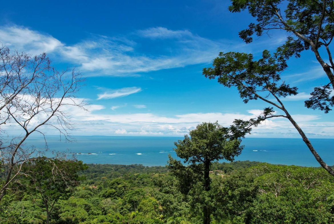 PROPERTY WITH 3  VILLAS IN PERLA THE BALLENA – 1.71 ACRES