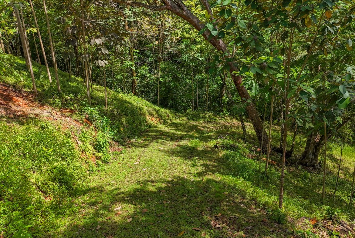PROPERTY WITH MOUNTAIN VIEW, IN OJOCHAL – 3.92 ACRES