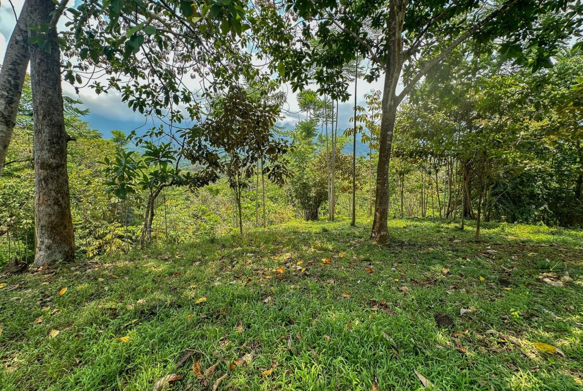 PROPERTY WITH MOUNTAIN VIEW, IN OJOCHAL – 3.92 ACRES
