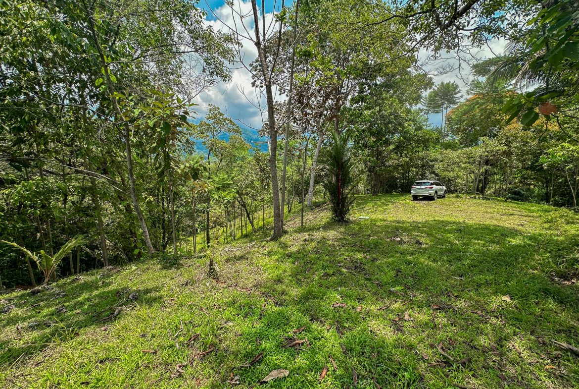 PROPERTY WITH MOUNTAIN VIEW, IN OJOCHAL – 3.92 ACRES