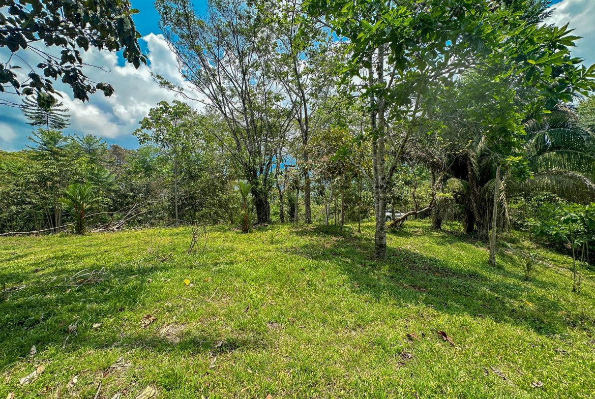PROPERTY WITH MOUNTAIN VIEW, IN OJOCHAL – 3.92 ACRES