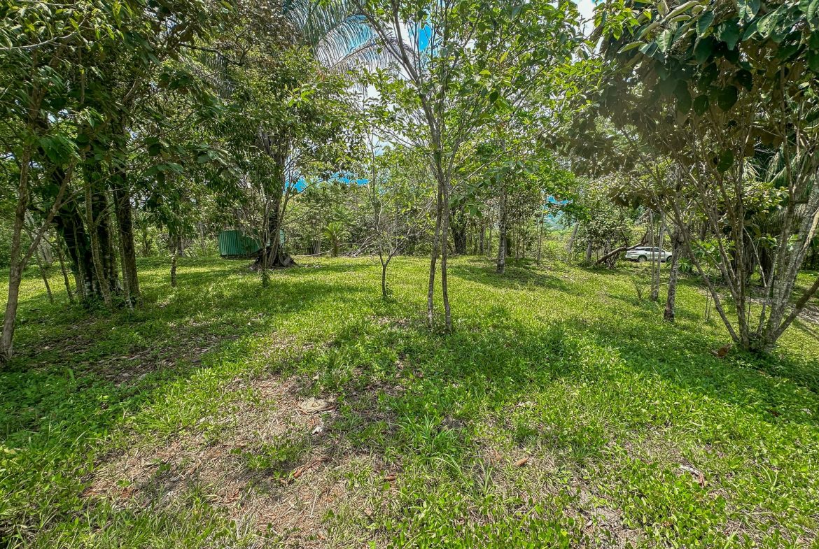 PROPERTY WITH MOUNTAIN VIEW, IN OJOCHAL – 3.92 ACRES