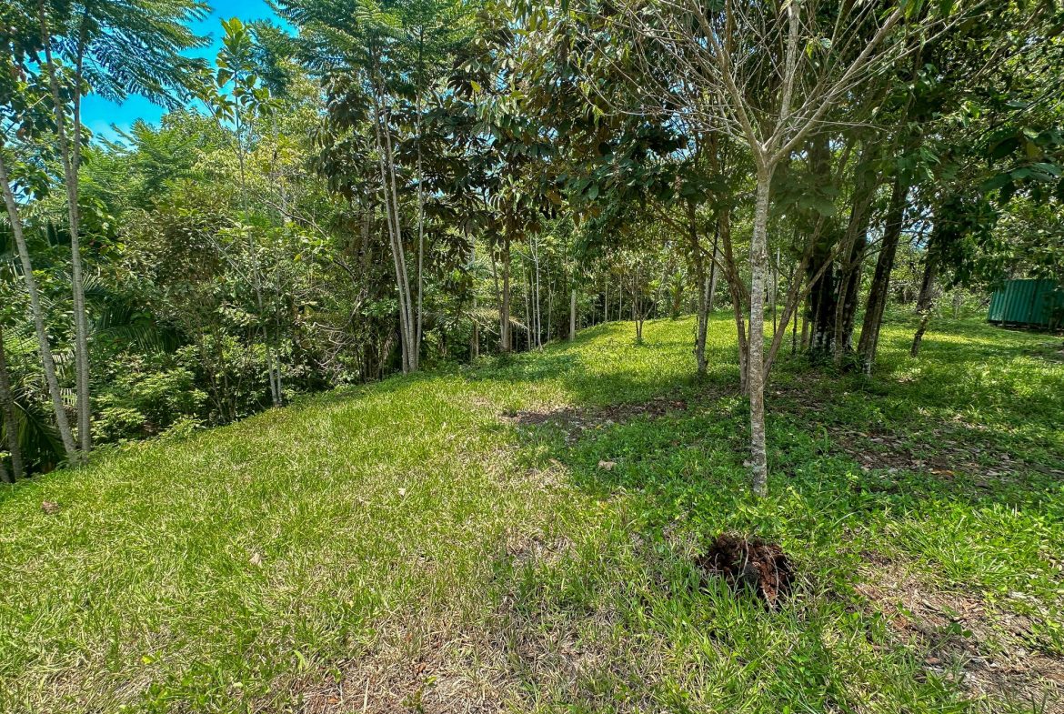 PROPERTY WITH MOUNTAIN VIEW, IN OJOCHAL – 3.92 ACRES