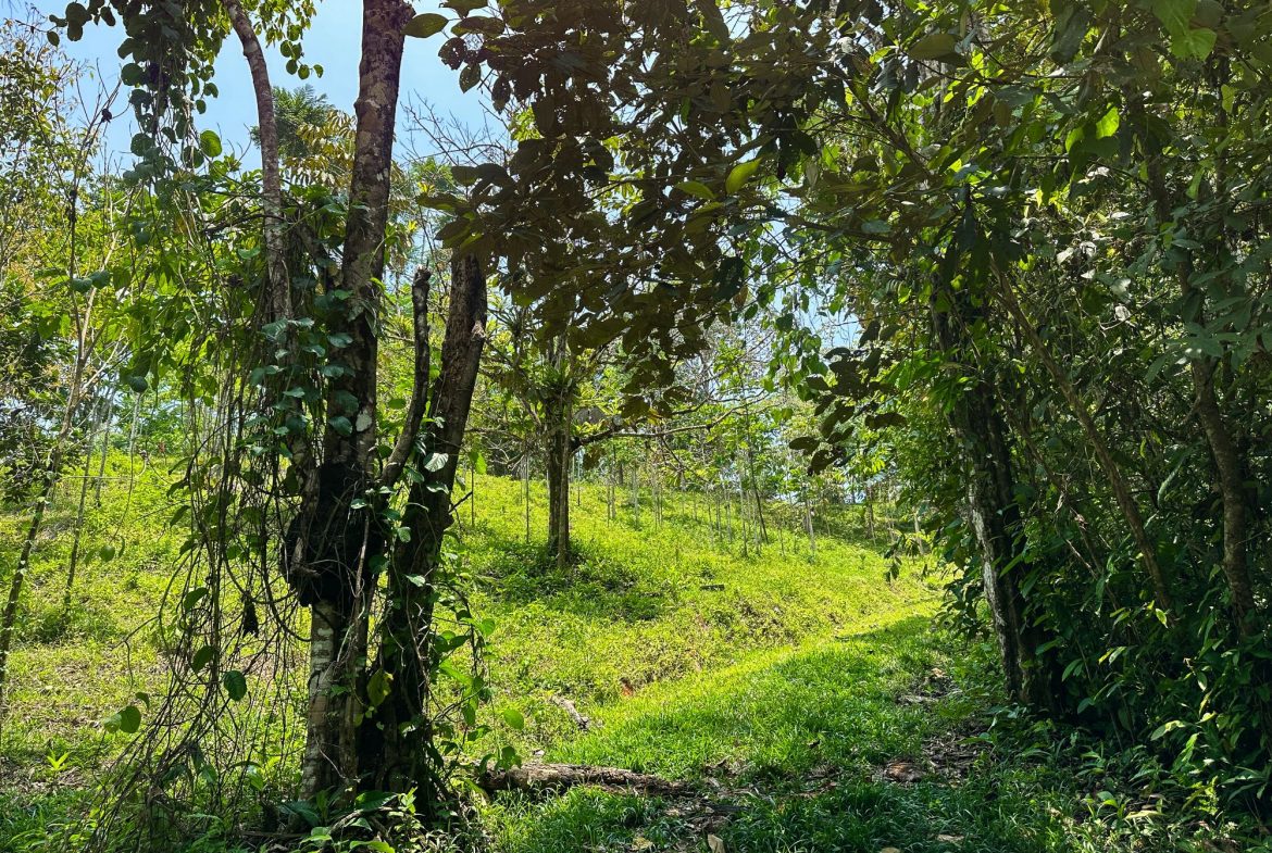 PROPERTY WITH MOUNTAIN VIEW, IN OJOCHAL – 3.92 ACRES