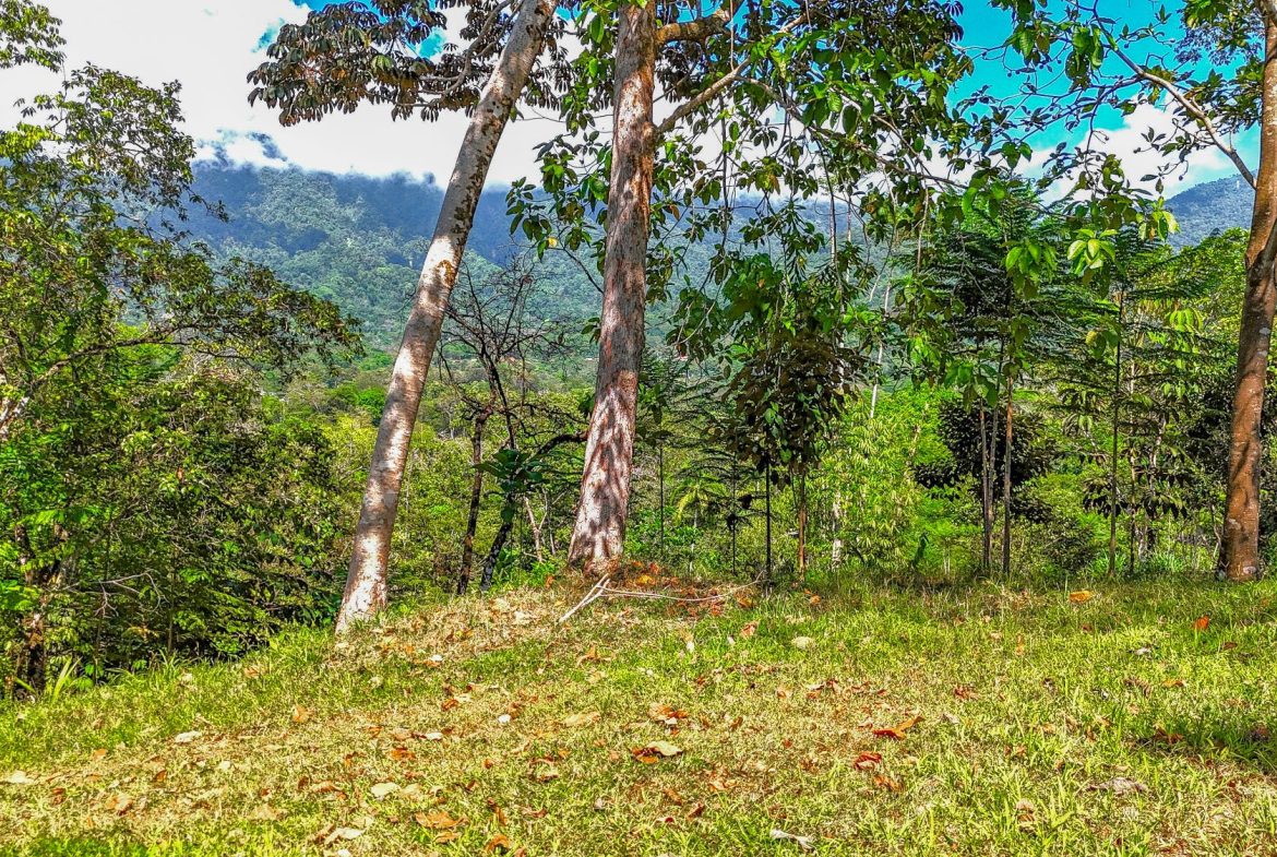 PROPERTY WITH MOUNTAIN VIEW, IN OJOCHAL – 3.92 ACRES