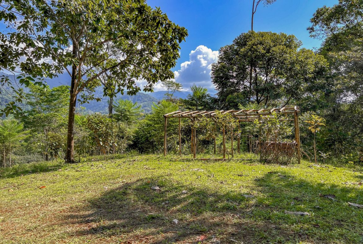 PROPERTY WITH MOUNTAIN VIEW, IN OJOCHAL – 3.92 ACRES