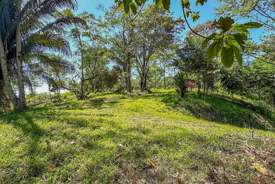 PROPERTY WITH MOUNTAIN VIEW, IN OJOCHAL – 3.92 ACRES