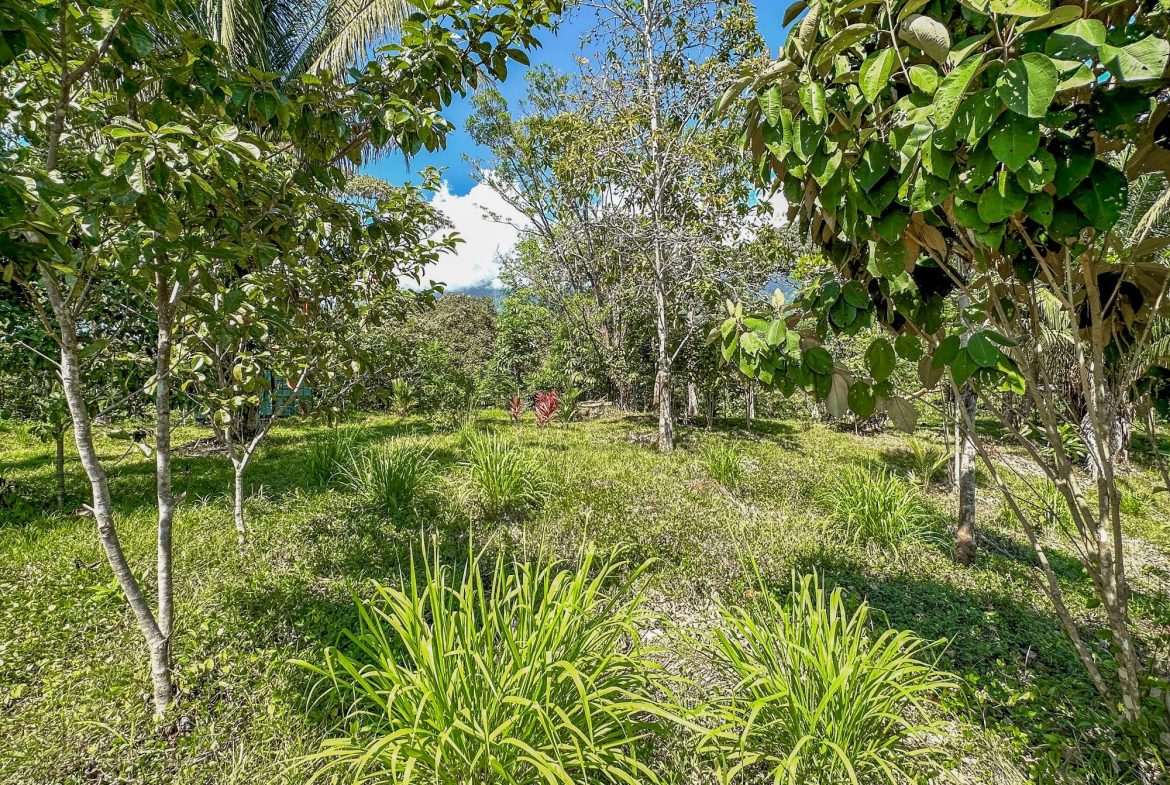 PROPERTY WITH MOUNTAIN VIEW, IN OJOCHAL – 3.92 ACRES