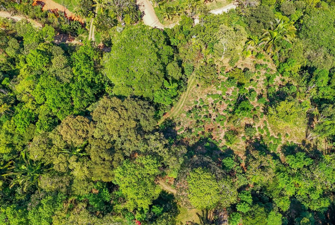 PROPERTY WITH MOUNTAIN VIEW, IN OJOCHAL – 3.92 ACRES