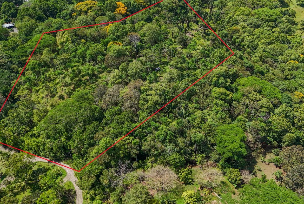 PROPERTY WITH MOUNTAIN VIEW, IN OJOCHAL – 3.92 ACRES