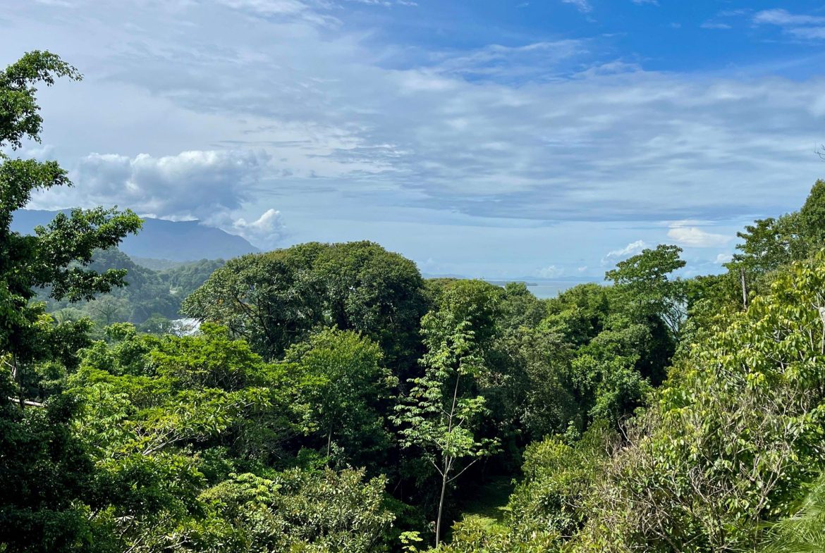 VILLA TURQUESA – MAJESTIC OASIS WITH EXTRA BUILDING SITE, CLOSE TO THE BEACH AND WILDLIFE – 1.92 ACRES, Uvita, Costa Rica — photo 2