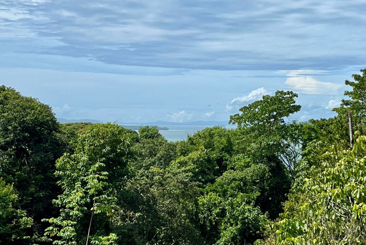 VILLA TURQUESA – MAJESTIC OASIS WITH EXTRA BUILDING SITE, CLOSE TO THE BEACH AND WILDLIFE – 1.92 ACRES, Uvita, Costa Rica — photo 3