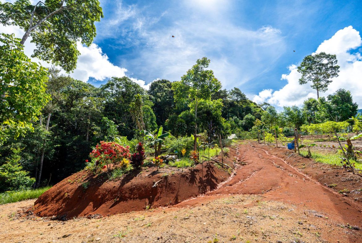 PROPERTY NEAR A WATERFALL IN SAN LUIS – 7.4 ACRES