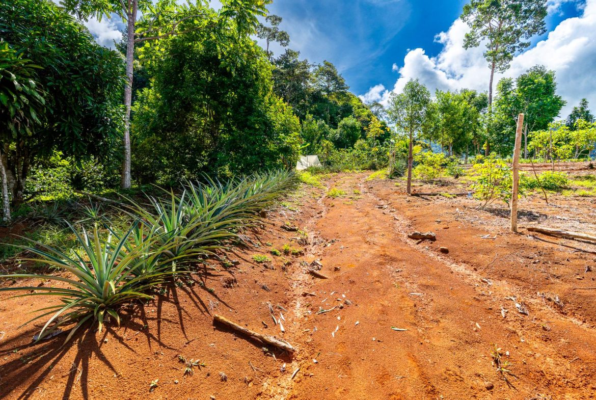PROPERTY NEAR A WATERFALL IN SAN LUIS – 7.4 ACRES