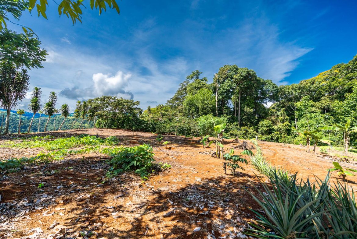 PROPERTY NEAR A WATERFALL IN SAN LUIS – 7.4 ACRES