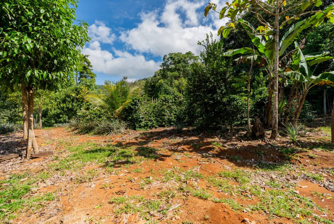 PROPERTY NEAR A WATERFALL IN SAN LUIS – 7.4 ACRES