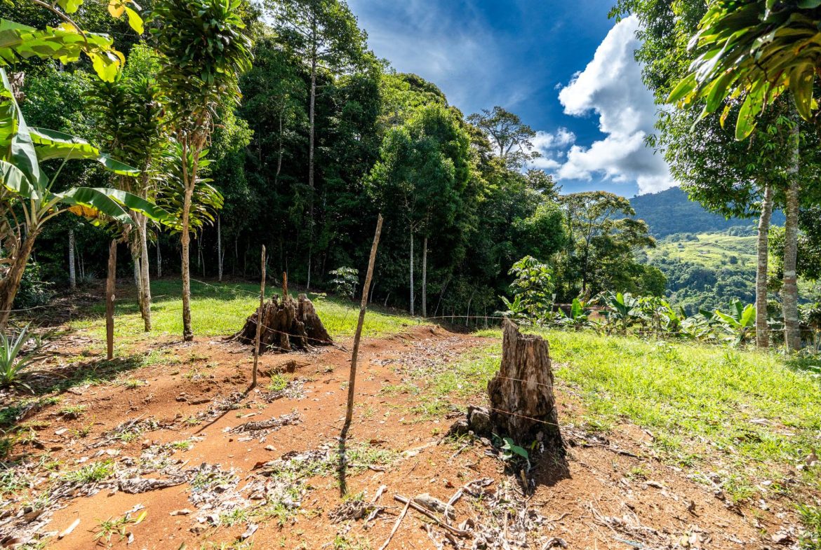 PROPERTY NEAR A WATERFALL IN SAN LUIS – 7.4 ACRES