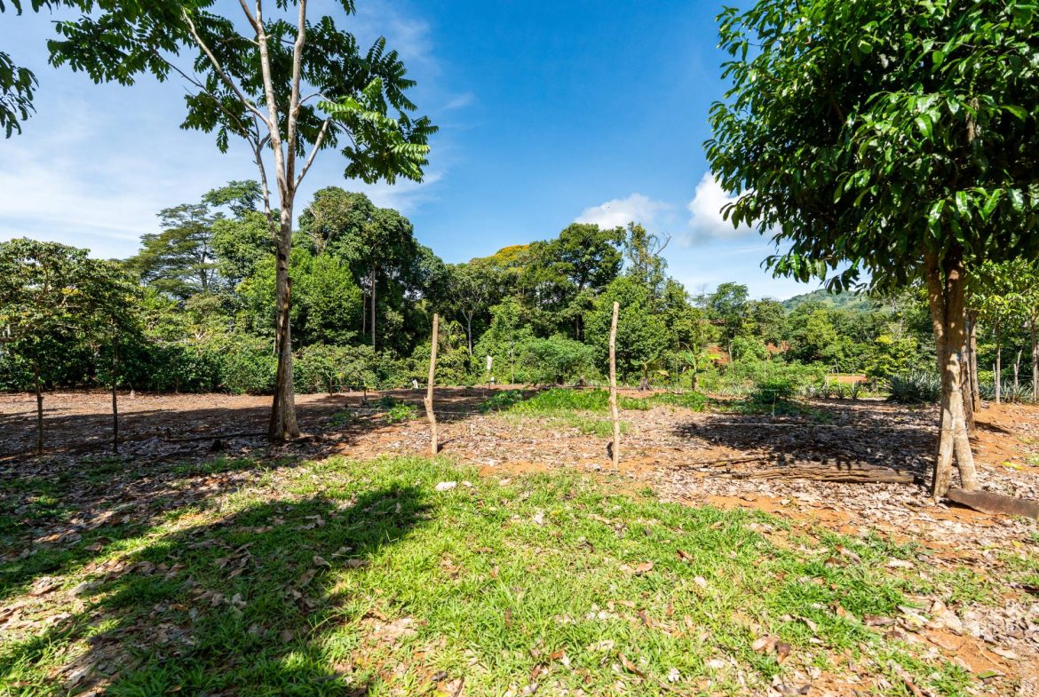 PROPERTY NEAR A WATERFALL IN SAN LUIS – 7.4 ACRES