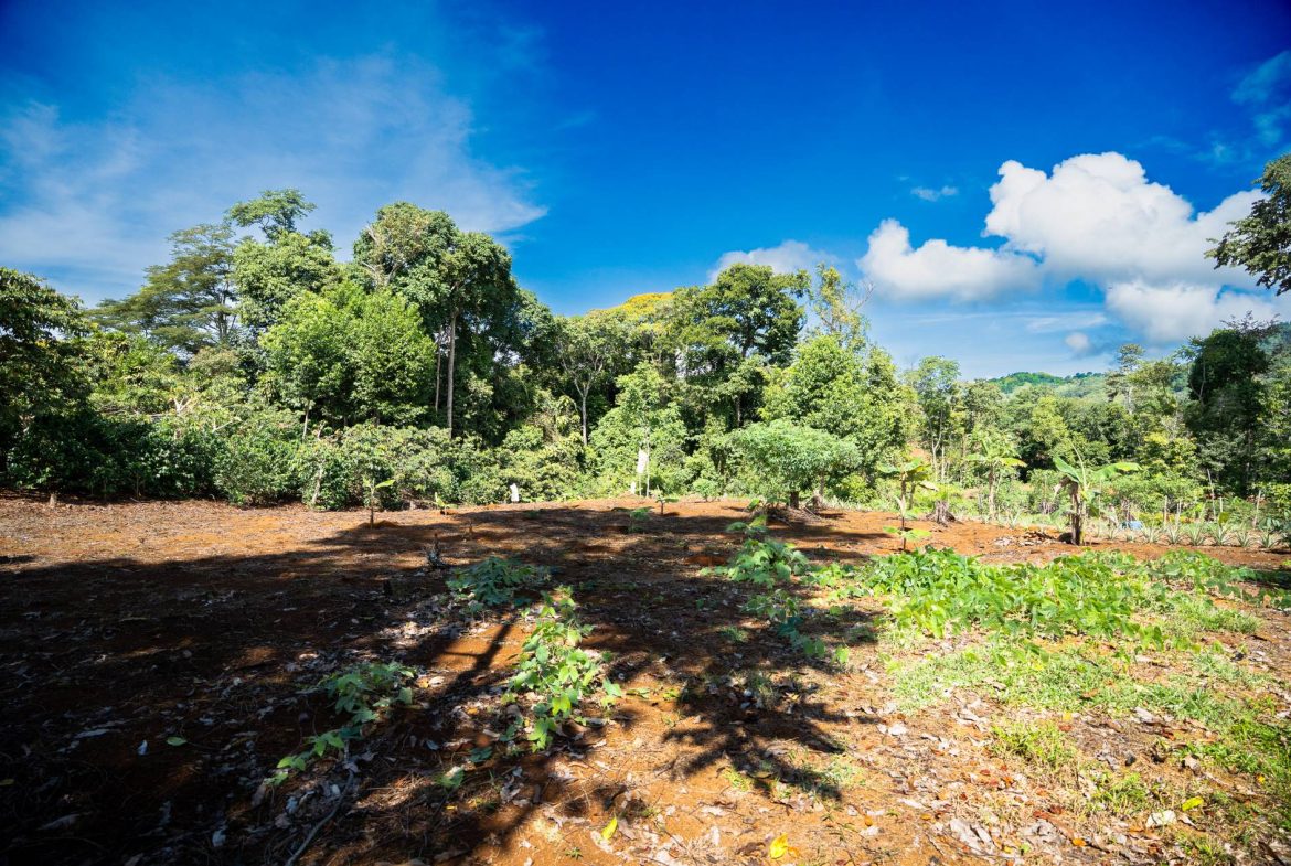 PROPERTY NEAR A WATERFALL IN SAN LUIS – 7.4 ACRES