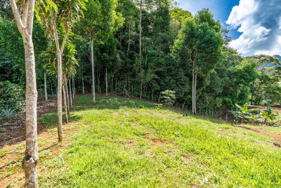 PROPERTY NEAR A WATERFALL IN SAN LUIS – 7.4 ACRES